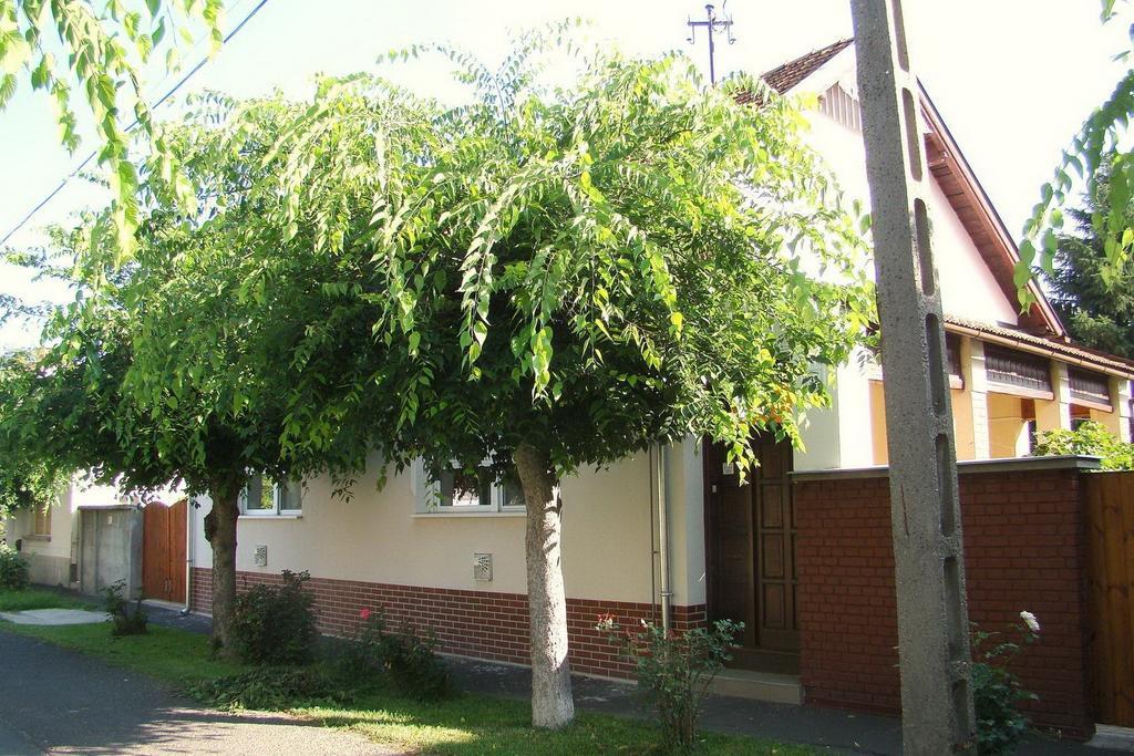 Hajnal Apartman Βίλα Gyula Δωμάτιο φωτογραφία